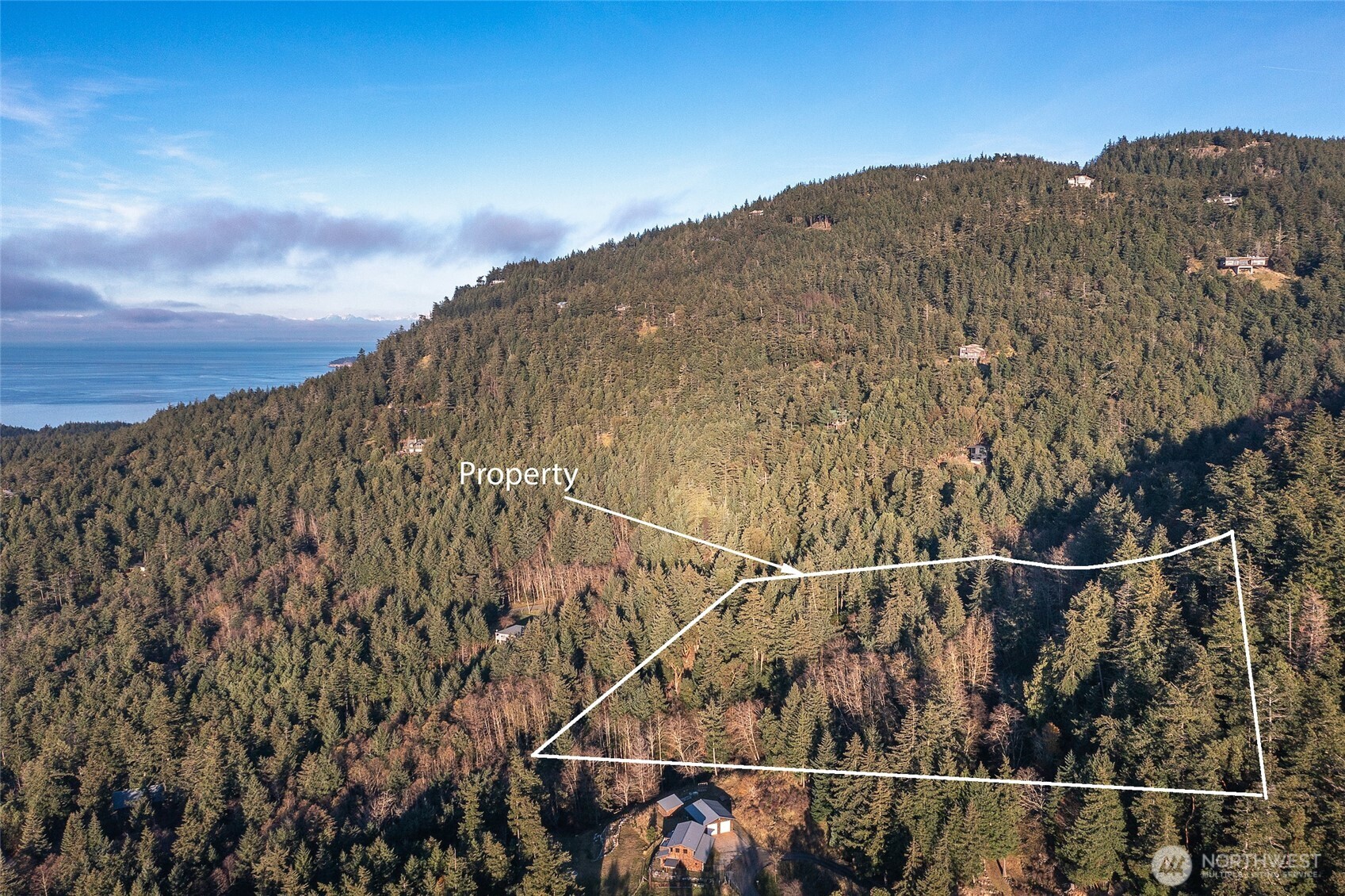 558 Buck Mt. Road , Orcas Island, WA 98245