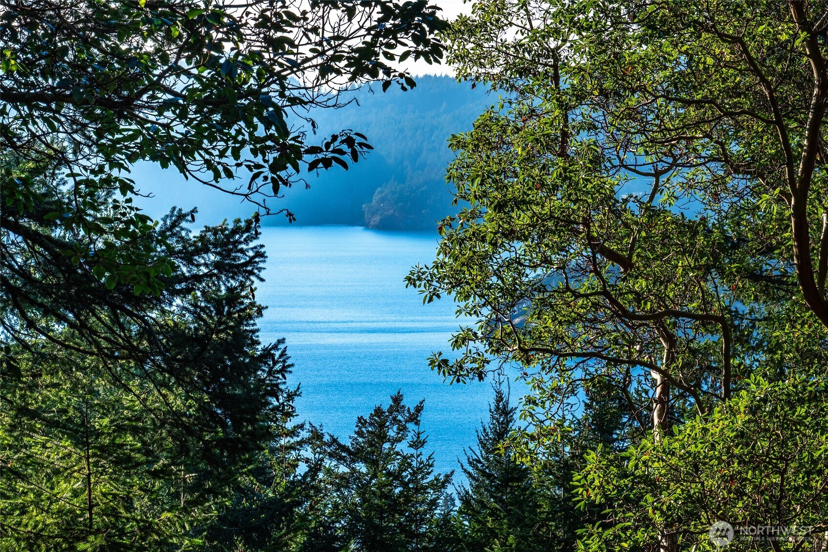558 Buck Mt. Road , Orcas Island, WA 98245