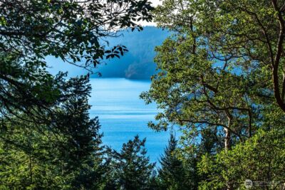 558 Buck Mt. Road , Orcas Island, WA 98245 - Photo 4