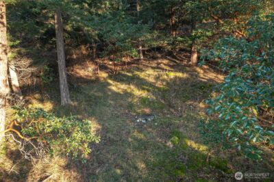 558 Buck Mt. Road , Orcas Island, WA 98245 - Photo 6