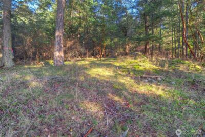 558 Buck Mt. Road , Orcas Island, WA 98245 - Photo 7