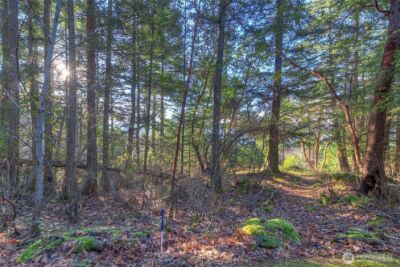 558 Buck Mt. Road , Orcas Island, WA 98245 - Photo 8