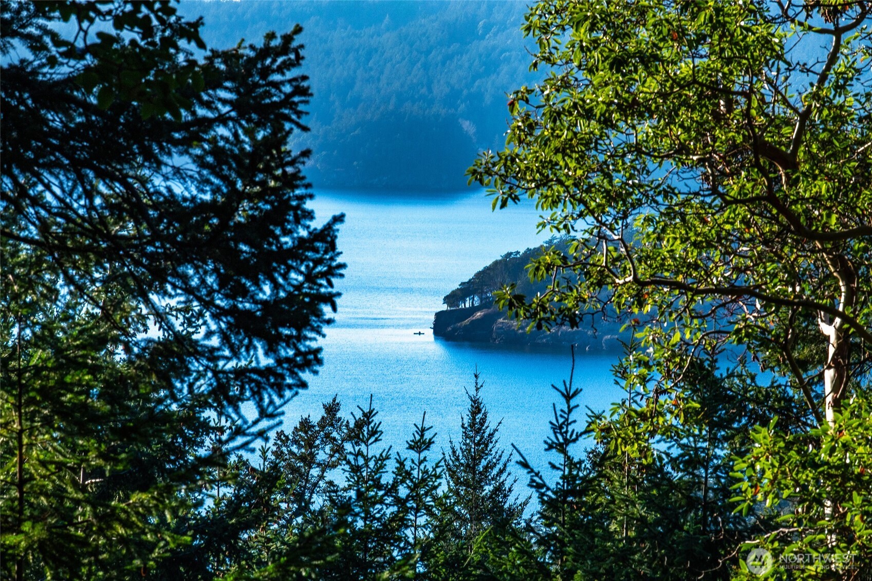 558 Buck Mt. Road , Orcas Island, WA 98245