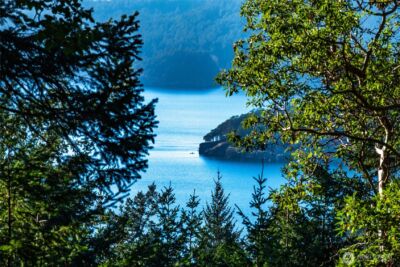 558 Buck Mt. Road , Orcas Island, WA 98245 - Photo 9