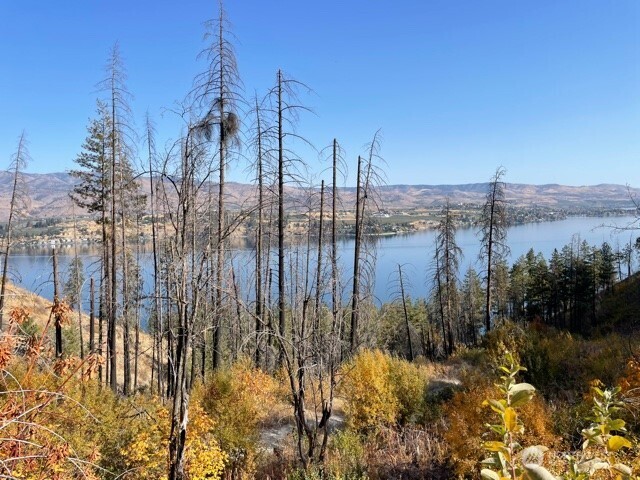 1 B S. Lakeshore Rd. , Chelan, WA 98816