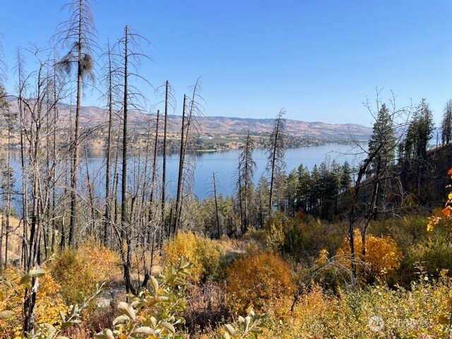 1 B S. Lakeshore Rd. , Chelan, WA 98816