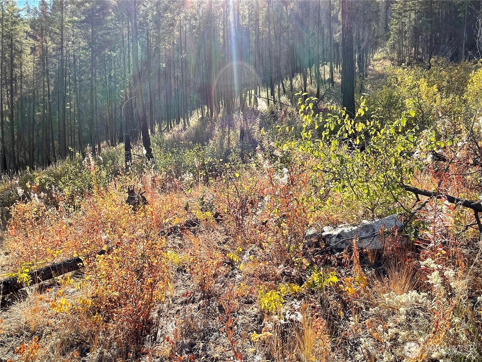 1 C S. Lakeshore Rd. , Chelan, WA 98816
