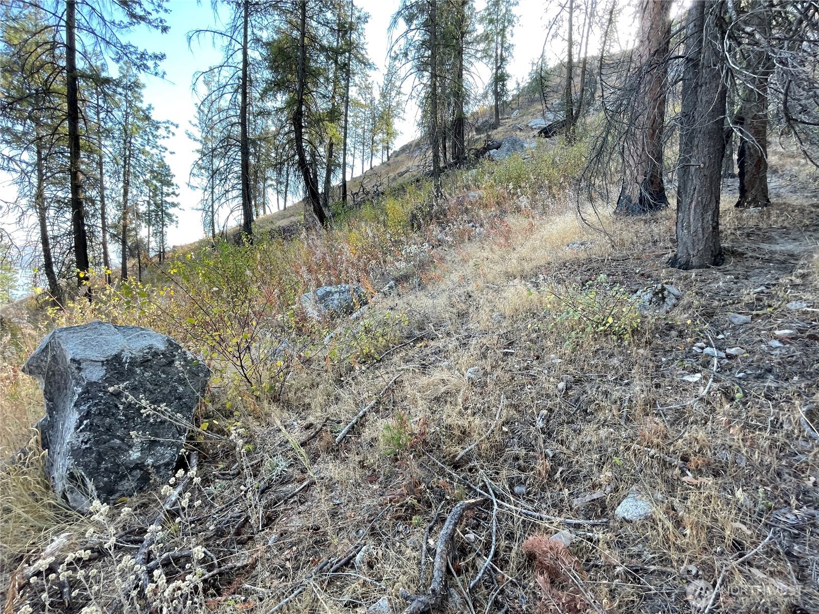 1 C S. Lakeshore Rd. , Chelan, WA 98816
