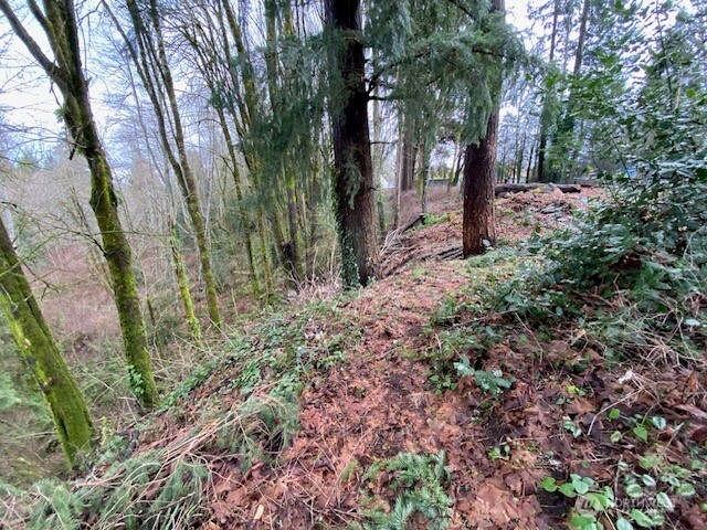 132 & 129 Linda Street SE, Tumwater, WA 98501