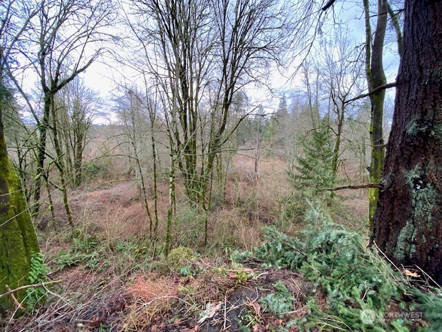 132 & 129 Linda Street SE, Tumwater, WA 98501