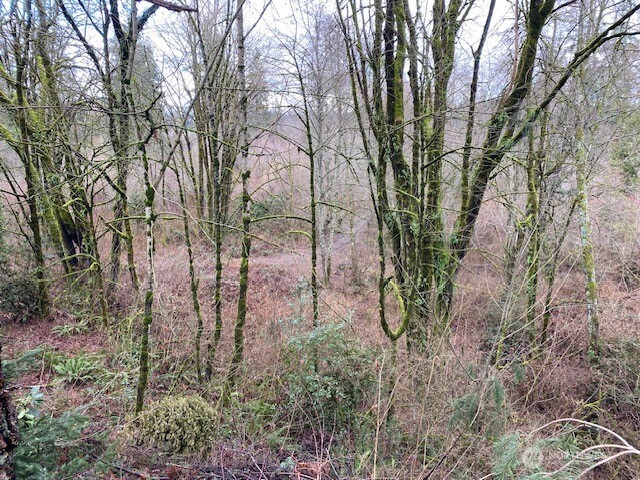 132 & 129 Linda Street SE, Tumwater, WA 98501