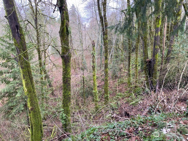 132 & 129 Linda Street SE, Tumwater, WA 98501