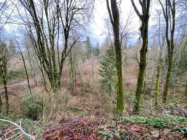 132 & 129 Linda Street SE, Tumwater, WA 98501