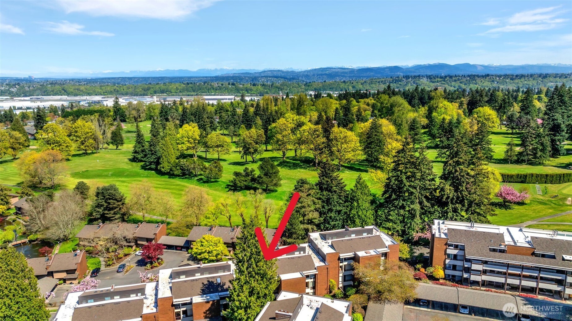 10911 D Glen Acres Drive S, Seattle, WA 98168-5514