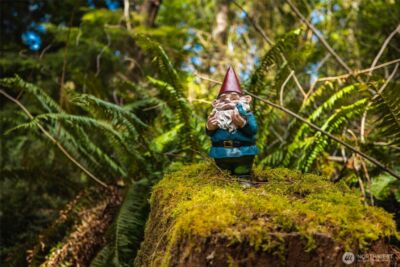 26928 State Route 525 , Coupeville, WA 98239 - Photo 31