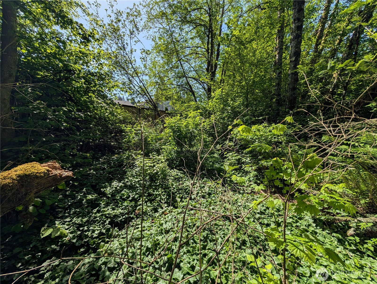 0 xxx Trosper Road SW, Tumwater, WA 98512