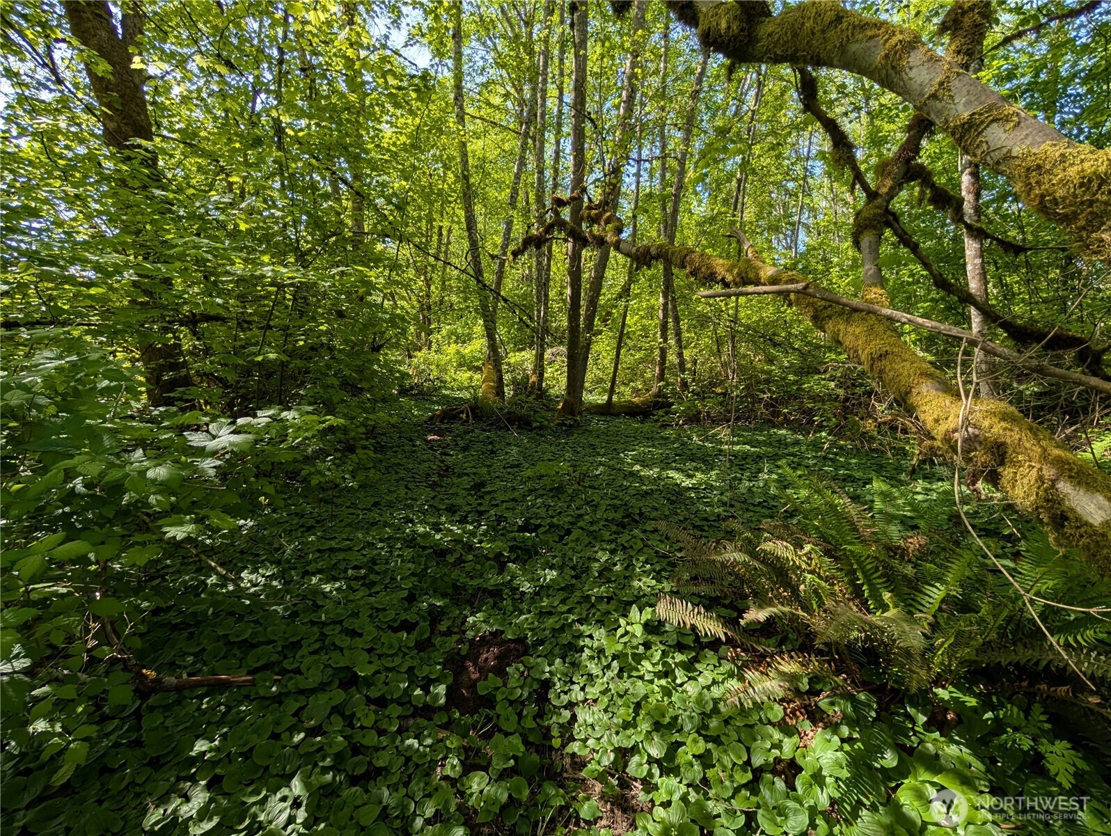 0 xxx Trosper Road SW, Tumwater, WA 98512