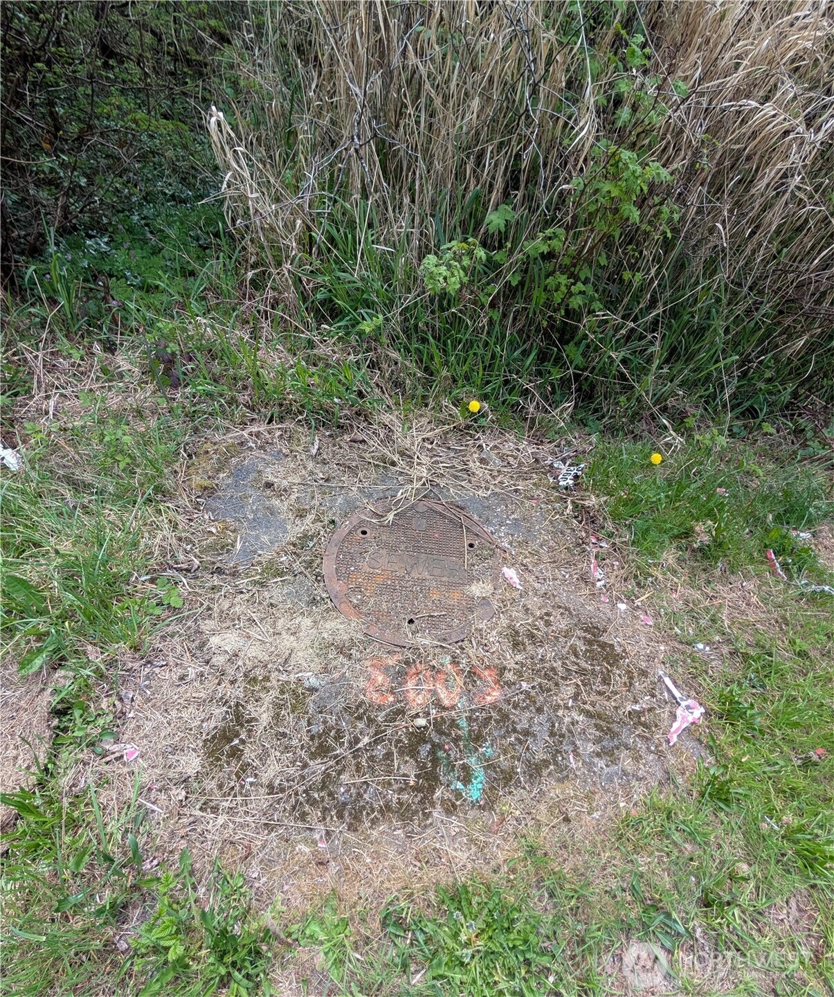 0 xxx Trosper Road SW, Tumwater, WA 98512