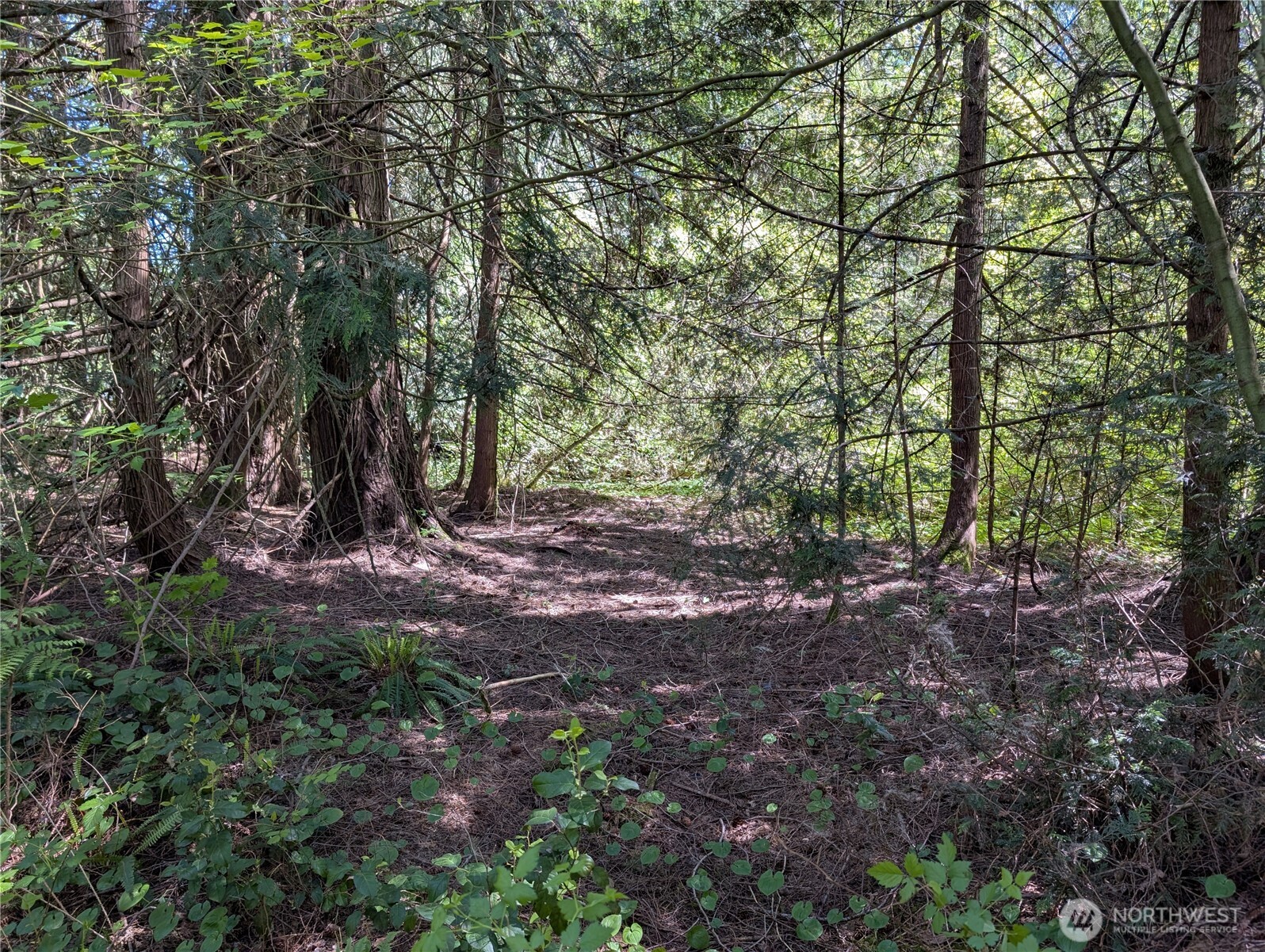 0 xxx Trosper Road SW, Tumwater, WA 98512