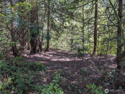 0 xxx Trosper Road SW, Tumwater, WA 98512 - Photo 14