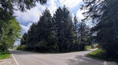 0 xxx Trosper Road SW, Tumwater, WA 98512 - Photo 8