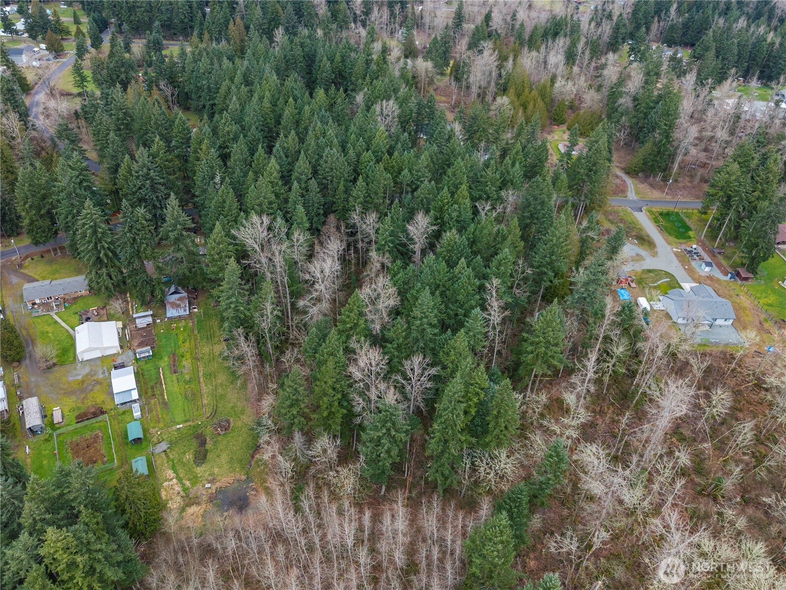 4813 296th St E , Graham, WA 98338