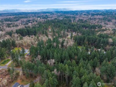 4813 296th St E , Graham, WA 98338 - Photo 9
