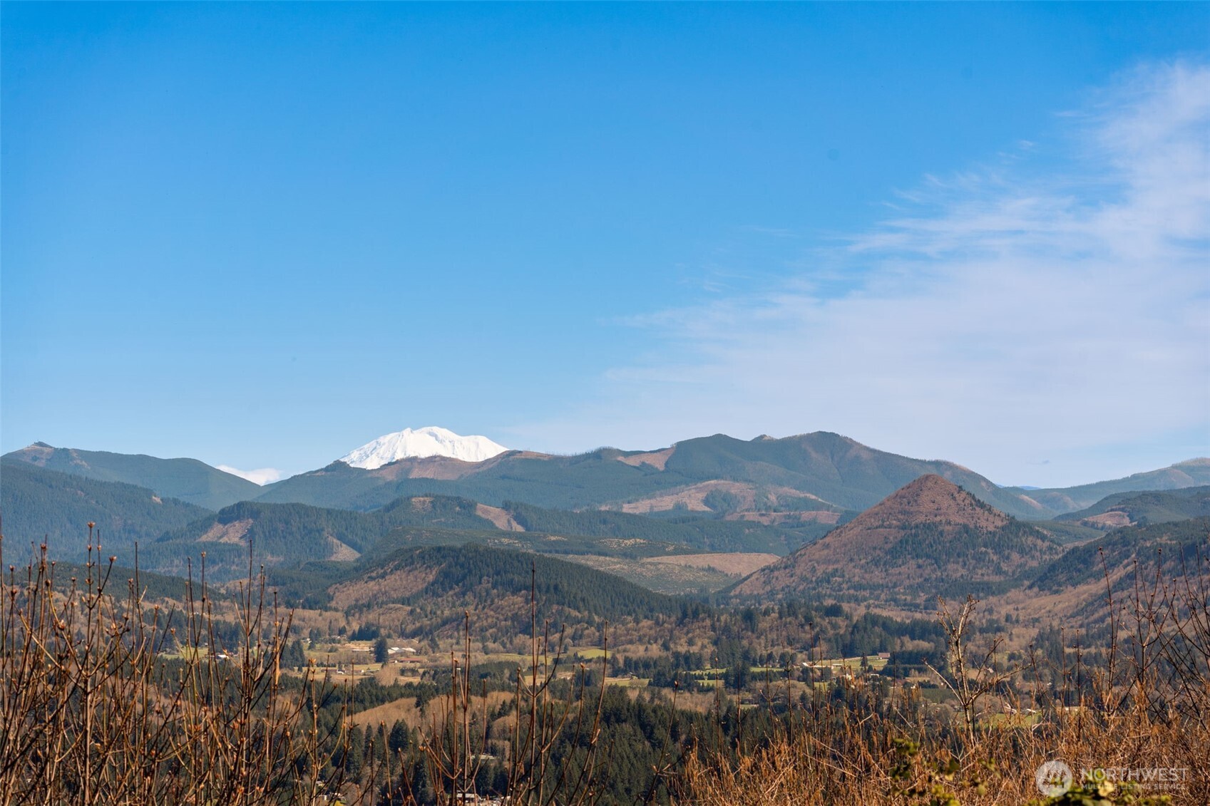 18414 NE 391st Street , Amboy, WA 98601
