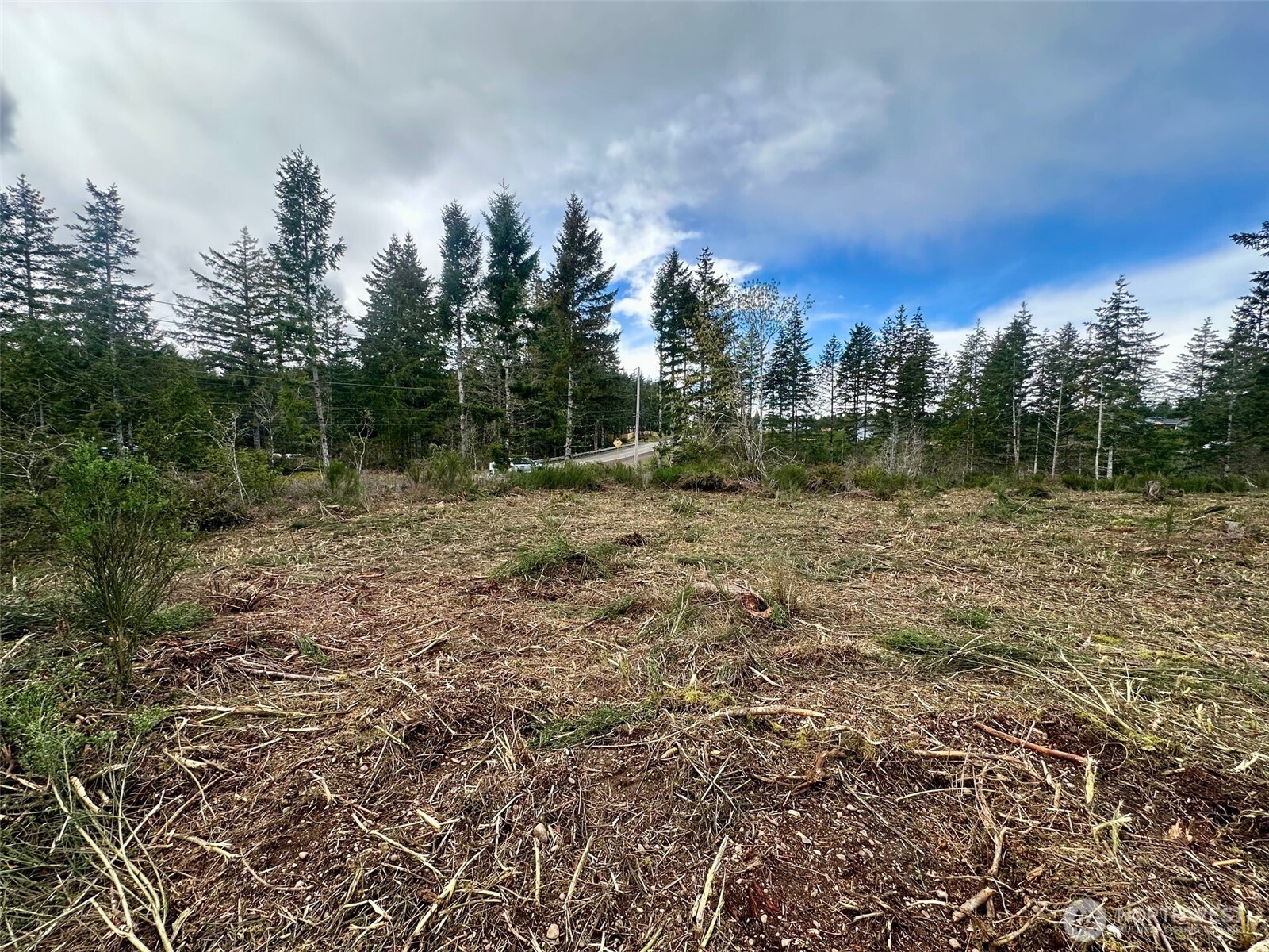 0 Lot 5 E Pickering Road , Shelton, WA 98584