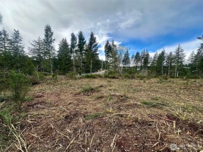 0 Lot 5 E Pickering Road , Shelton, WA 98584 - Photo 2