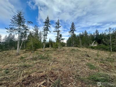 0 Lot 5 E Pickering Road , Shelton, WA 98584 - Photo 4