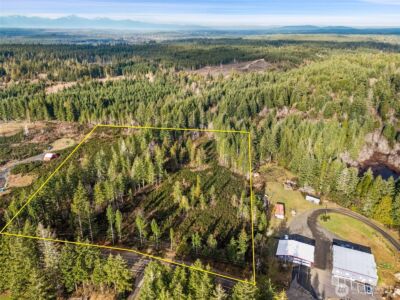 0 Lot 5 E Pickering Road , Shelton, WA 98584 - Photo 6