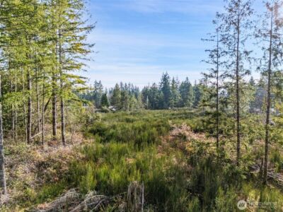 0 Lot 5 E Pickering Road , Shelton, WA 98584 - Photo 7
