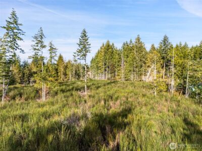 0 Lot 5 E Pickering Road , Shelton, WA 98584 - Photo 8