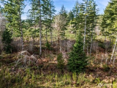 0 Lot 5 E Pickering Road , Shelton, WA 98584 - Photo 9