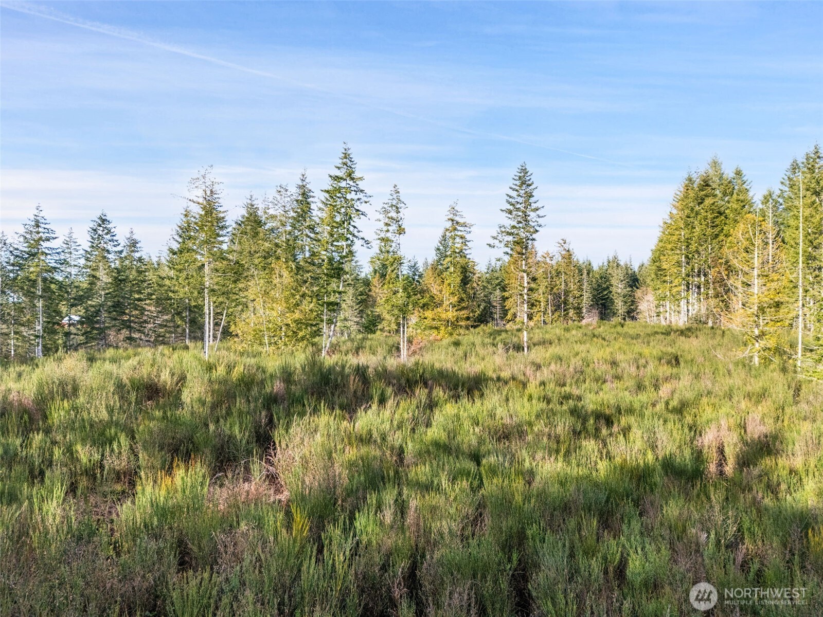 0 Lot 5 E Pickering Road , Shelton, WA 98584