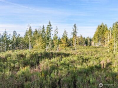 0 Lot 5 E Pickering Road , Shelton, WA 98584 - Photo 10