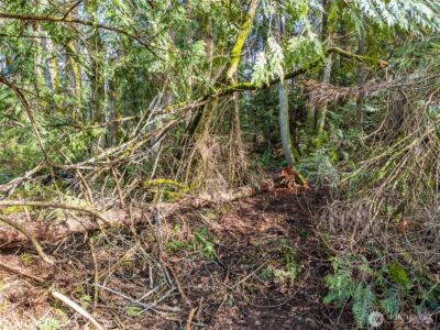 23500 Jefferson Point Road NE, Kingston, WA 98346 - Photo 13