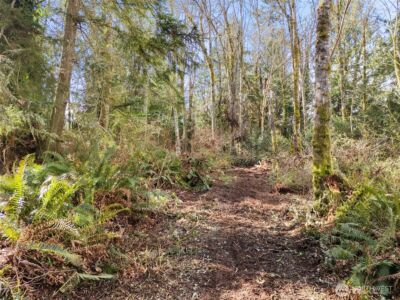 23500 Jefferson Point Road NE, Kingston, WA 98346 - Photo 19