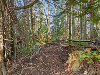 23500 Jefferson Point Road NE, Kingston, WA 98346 - Photo 22