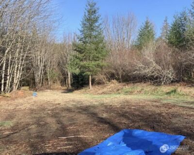 30 Acres Glenwood Road SW, Port Orchard, WA 98367 - Photo 3