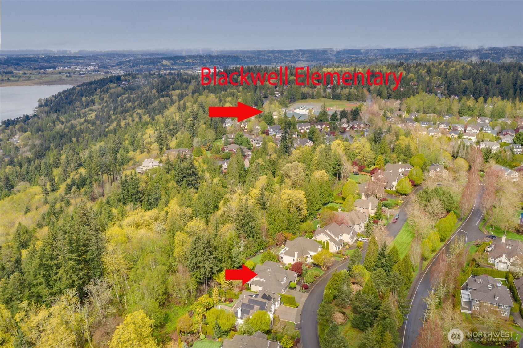 2753 204th Lane NE, Sammamish, WA 98074