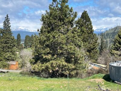 881 Sunlight Drive , Cle Elum, WA 98922 - Photo 7