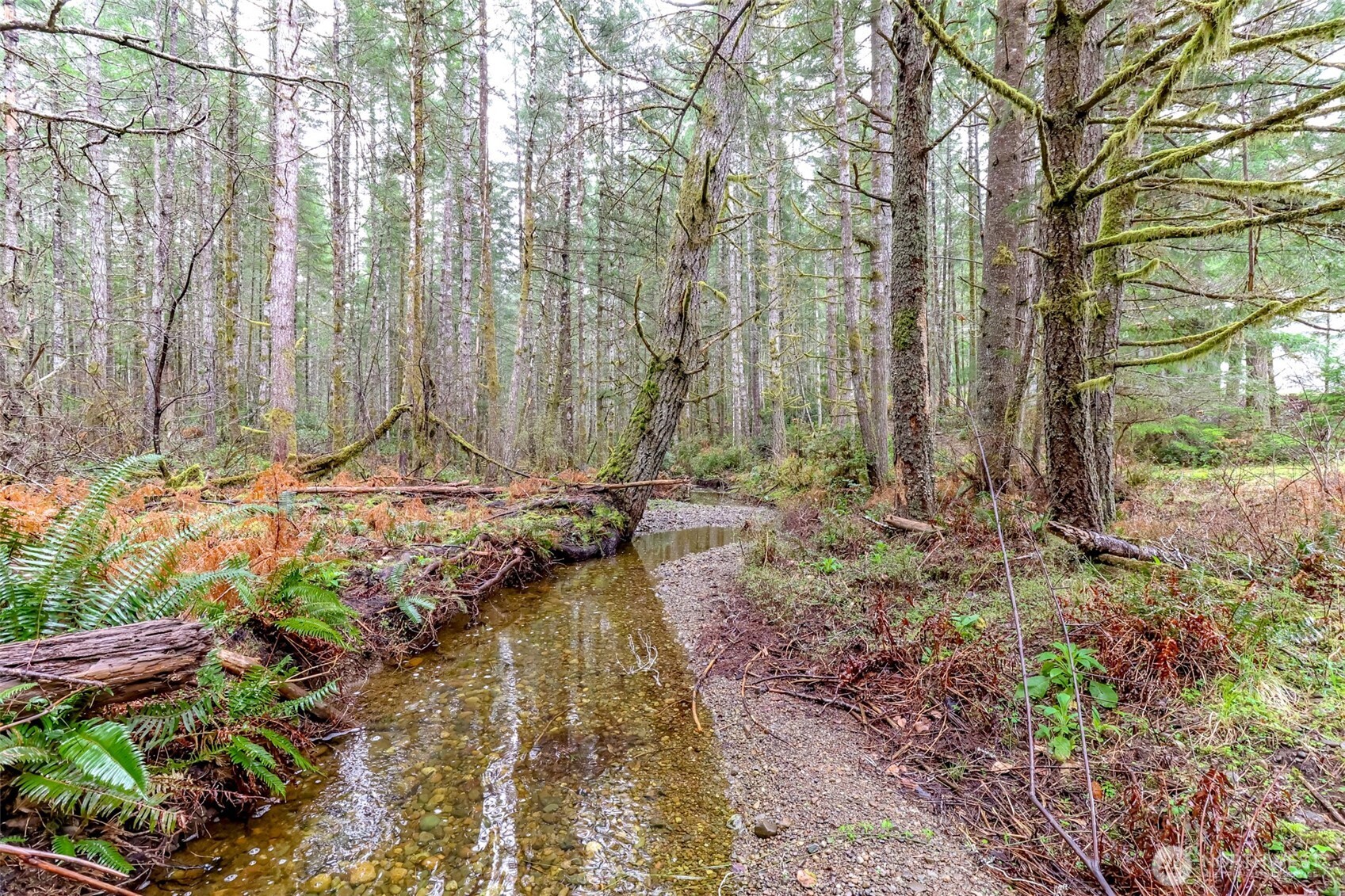 1831 NE Blacksmith Drive , Belfair, WA 98528