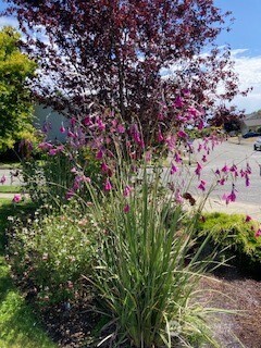 3005 45th Street NE, Tacoma, WA 98422
