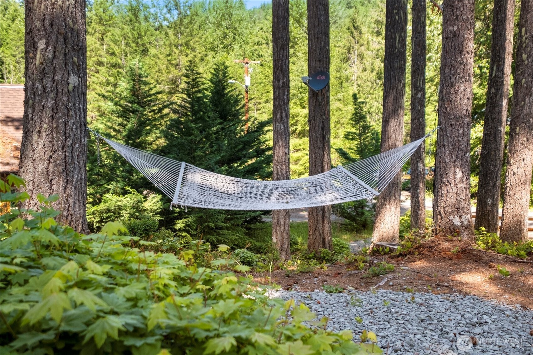 321 Paradise Drive , Ashford, WA 98304