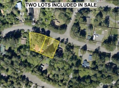321 Paradise Drive , Ashford, WA 98304 - Photo 3