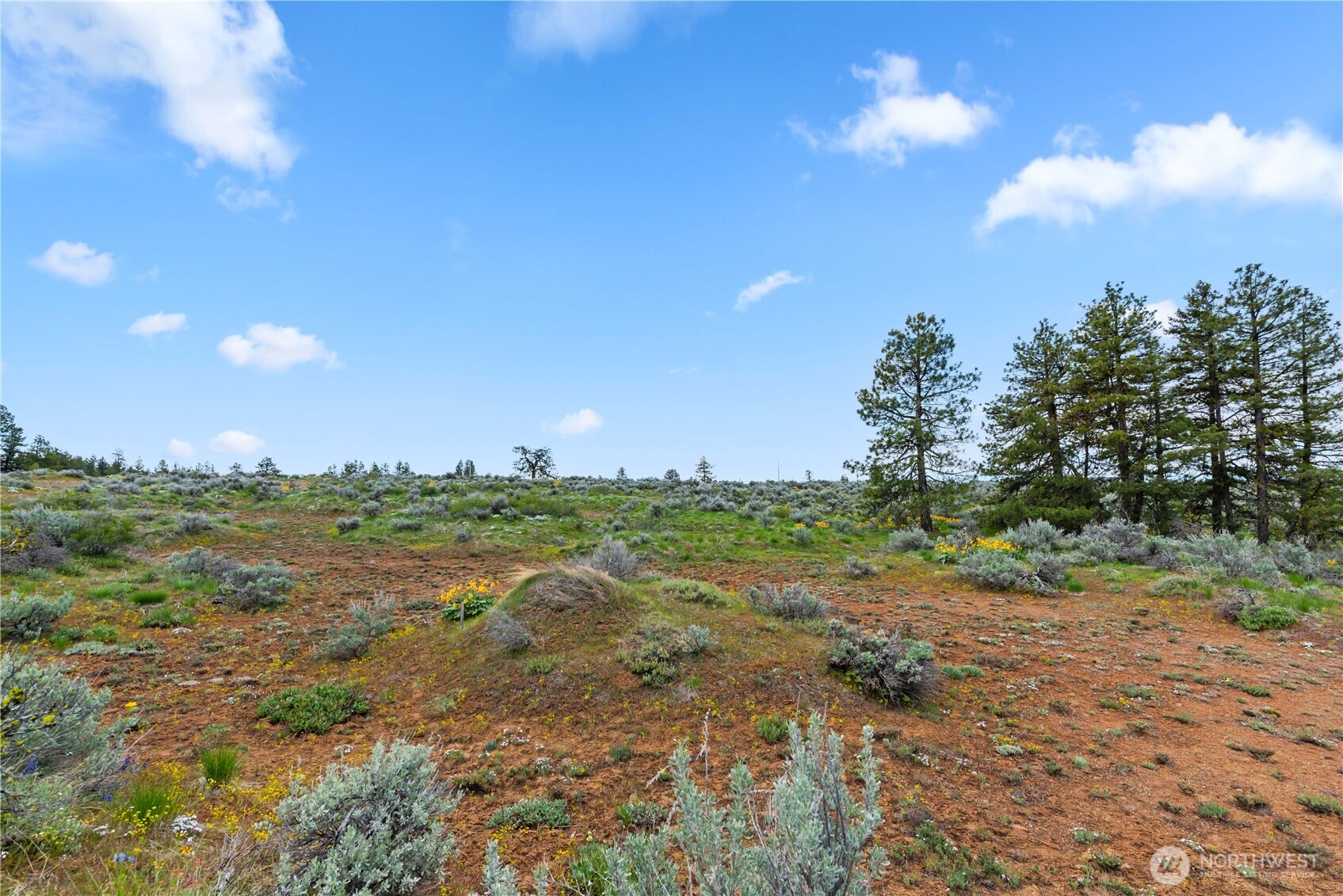 207 Falcon Ridge Road , East Wenatchee, WA 98802