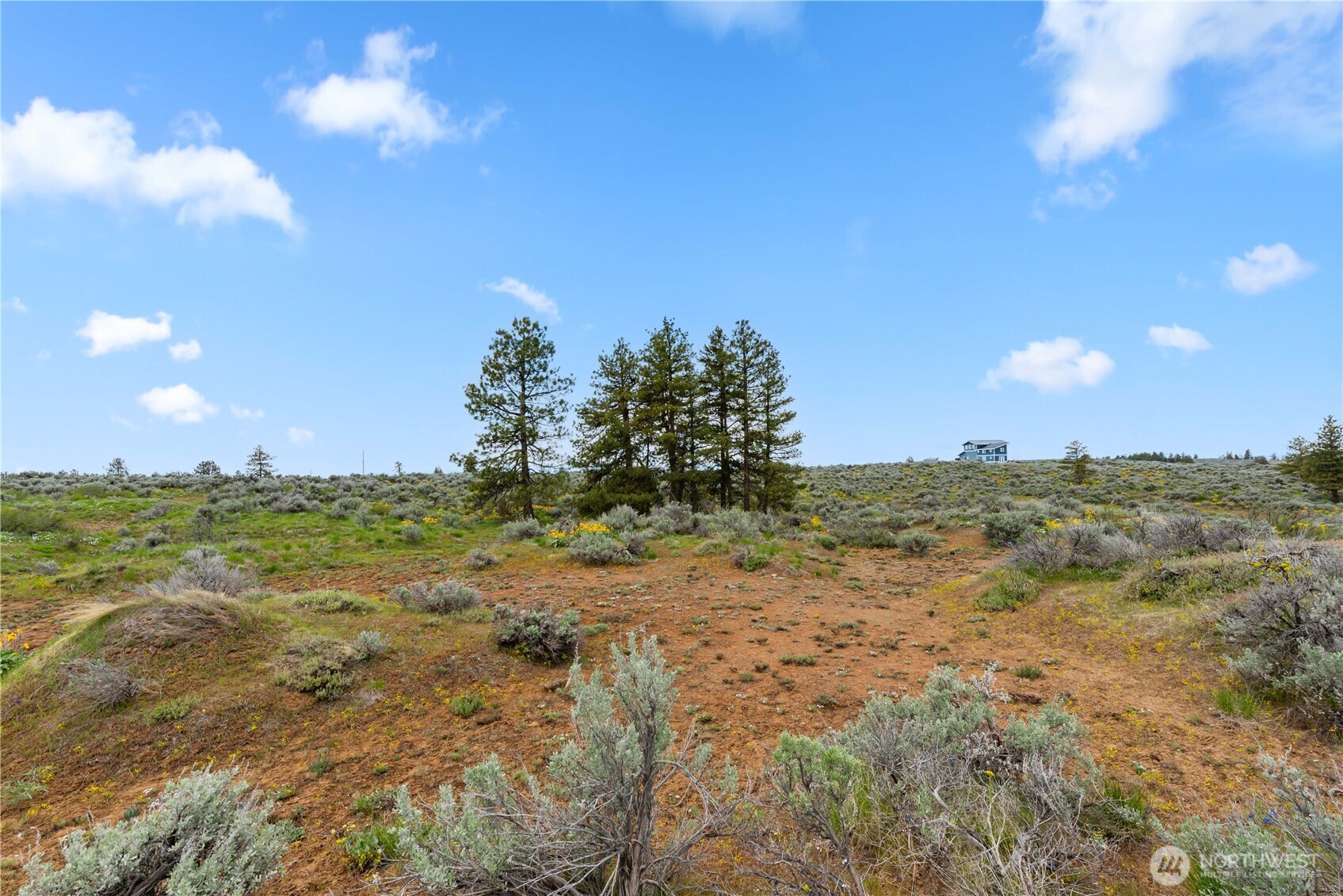 207 Falcon Ridge Road , East Wenatchee, WA 98802