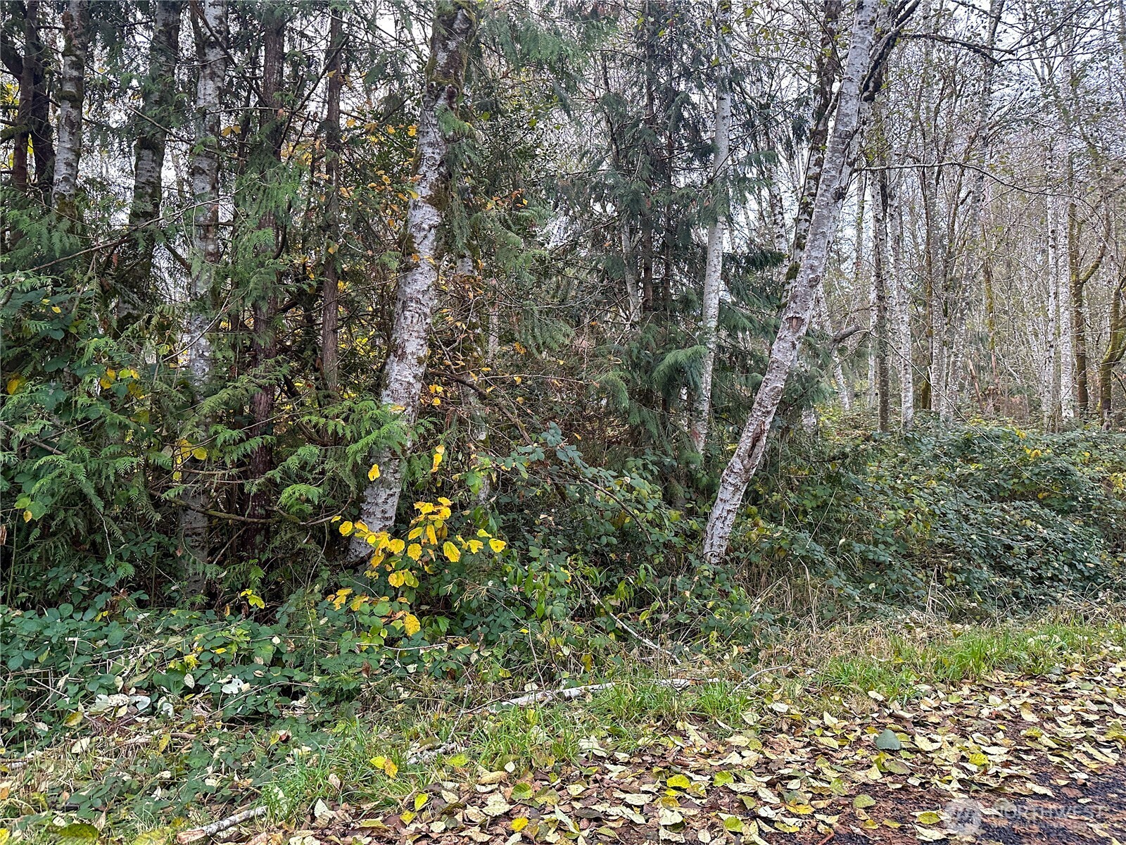 7605 Lakeside Street SW, Olympia, WA 98512